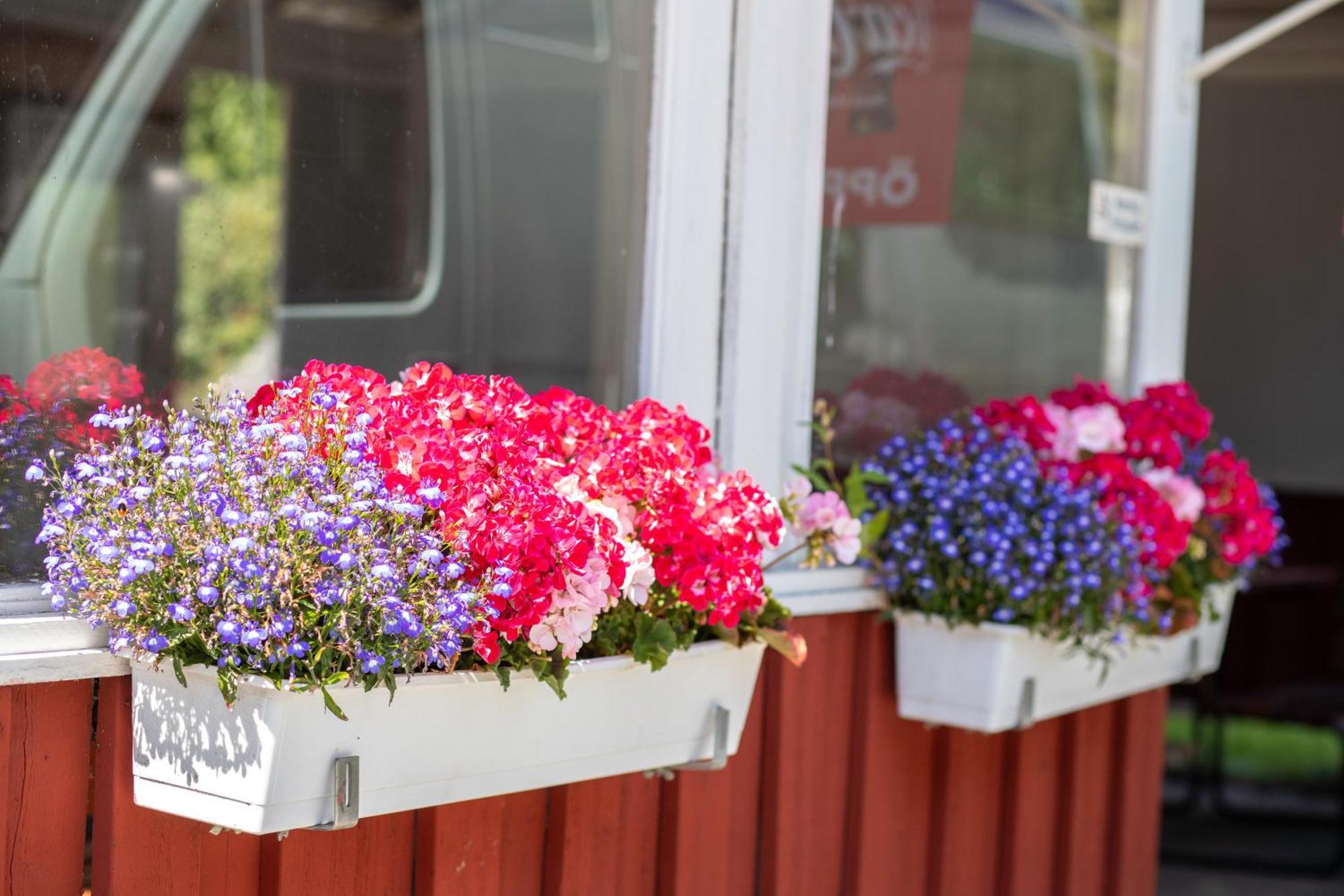 Stockholm Aengby Camping Exterior photo